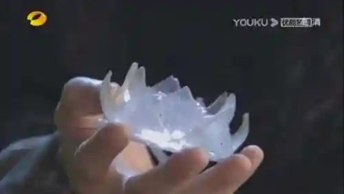 原著宇文拓爱小雪还是宁珂(宇文拓的孩子是重楼吗)插图27