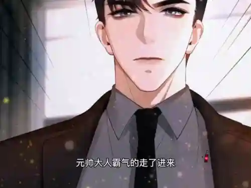 帝国元帅 阵容搭配图片(战火勋章兵种军官搭配图)插图5