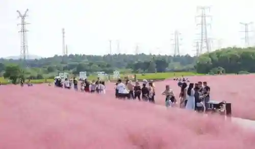 玄武阵容搭配攻略图(玄武反伤流玩法攻略)插图7