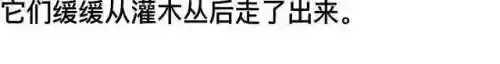 我和七个女神在荒岛求生(和女神们流落荒岛我为王免费阅读)插图44