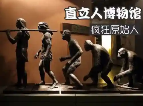 蜱虫和阴虱的图片(阴虱子是怎么长出来的)插图4 蜱虫和阴虱的图片(阴虱子是怎么长出来的)插图4