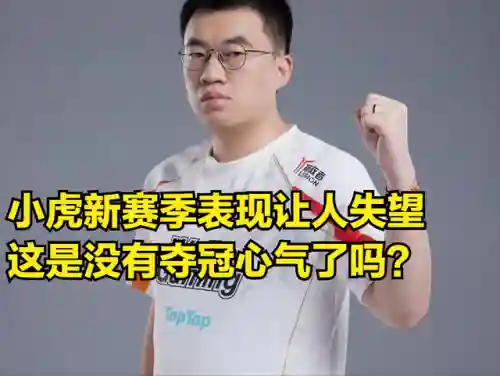 上单小虎阵容搭配最新(老虎适合什么阵容)插图7
