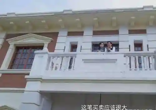 曙光行动阵容搭配大全最新(曙光行动)插图5
