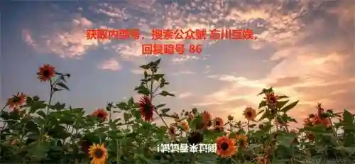 小冰冰传奇熊猫阵容搭配(小冰冰传奇官网)插图1