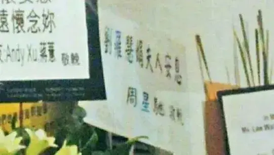 周星驰为什么不娶妻(周星驰罗慧娟)插图31