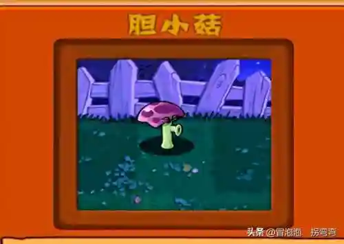 植物大战僵尸墓碑阵容搭配(植物大战僵尸2失落无尽阵容)插图1