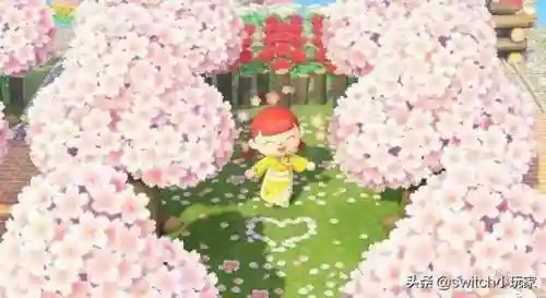 动物之森旧版推荐阵容搭配(动物之森不同版本区别)