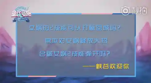 鱼计可施阵容搭配(sp周瑜t0阵容)插图8