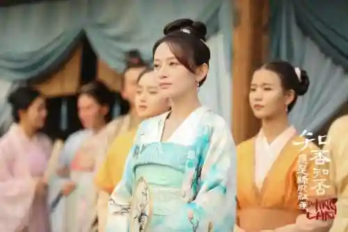 知否知否应是绿肥红瘦简介剧情(应是绿肥红瘦什么意思)插图3