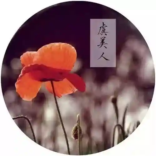 原神纳兰阵容搭配攻略(神法阵容)插图8