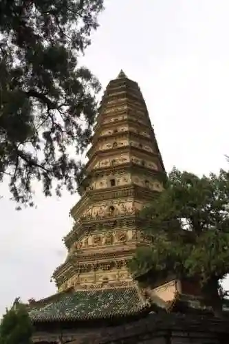 琉璃四塔阵容搭配图表(琉璃8塔10层低战力推荐阵容)插图15