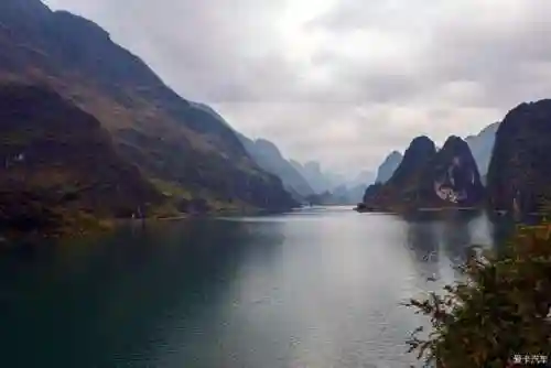 单人森林阵容怎么搭配最好(荒野迷城最强阵容)插图1