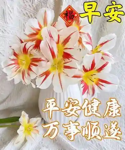 早安物语推荐阵容搭配图(心力物语最强阵容)插图8