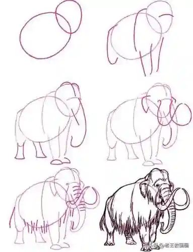画100个呆萌可爱小动物(画小动物简单又可爱)插图16