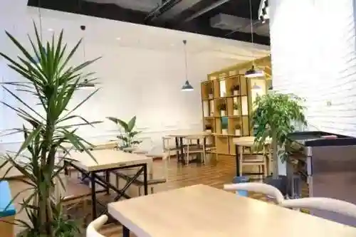 工作餐阵容搭配图片(员工餐桌图片大全)插图8