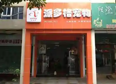 宠物店加盟(宠物店加盟大概要多少钱)