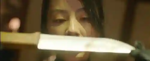 追捕者最强阵容搭配攻略(三国志战略版最强阵容)插图41