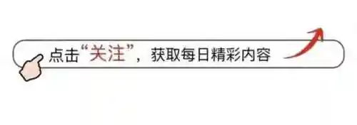汪峰助唱阵容搭配图谱(汪峰战队合唱)