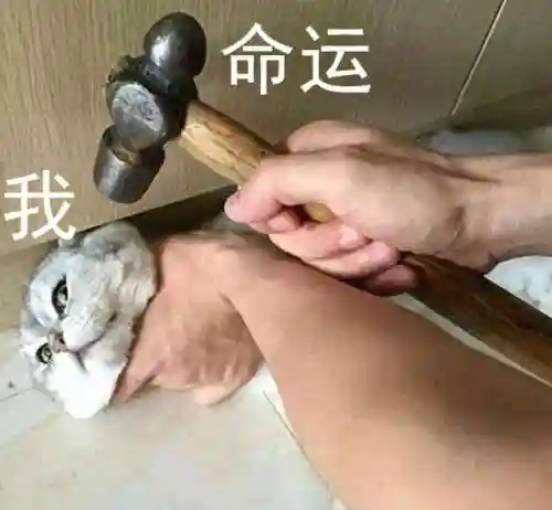 天使与恶魔的压榨战斗游戏(榨汁姐家的圣杯的使用方法)插图8