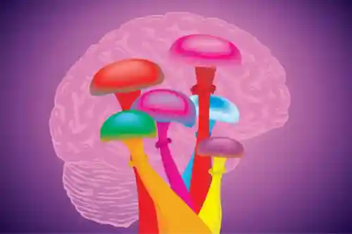 毒蘑菇怪兽(老鼠怪兽)插图6