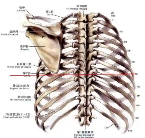 我想要看胸片曝光照片实体(胸片爆料2024)插图2
