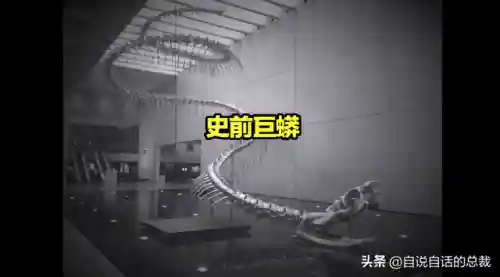 远古巨兽大复活(上古神兽饕餮电影免费)插图7 远古巨兽大复活(上古神兽饕餮电影免费)插图7