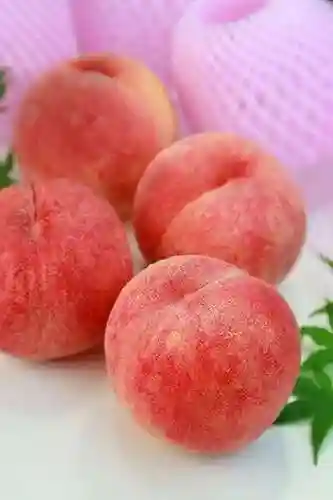 水蜜桃图片大全唯美壁纸(桃子壁纸软件下载)插图14
