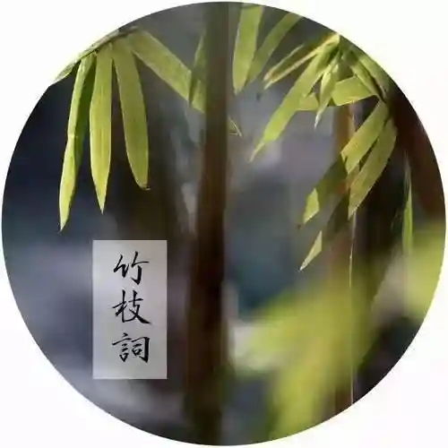原神纳兰阵容搭配攻略(神法阵容)插图4