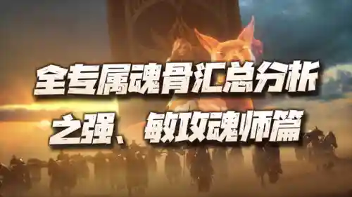 海龙和唐烈阵容搭配(航海王燃烧意志t0阵容2023)插图1
