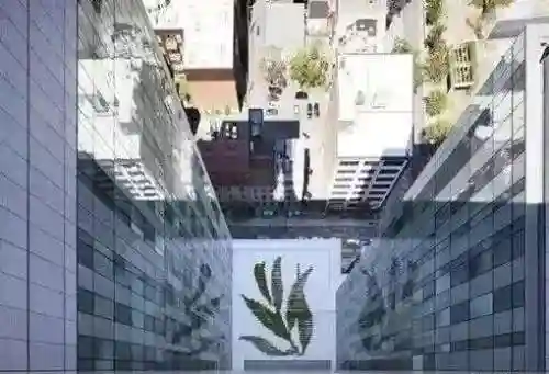 主题医院完美布局图(医院设计效果图)插图17