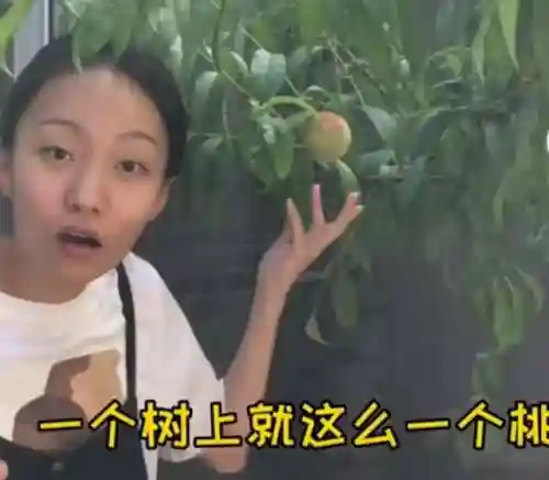 梦幻联动姐妹阵容搭配推荐(梦幻西游最强伙伴阵容)插图15