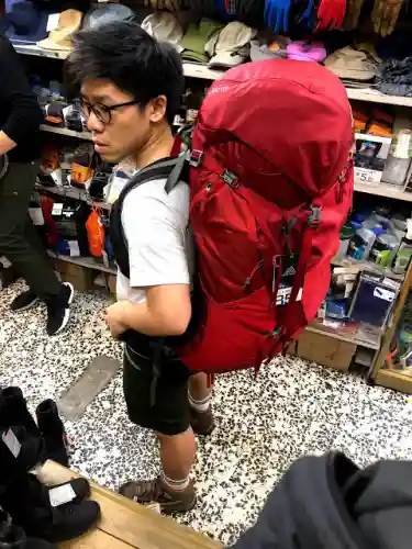 神秘牧场搭配阵容图鉴大全(玛尔斯之殿阵容搭配推荐)插图2
