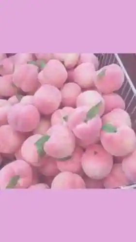 水蜜桃图片大全唯美壁纸(桃子壁纸软件下载)插图10