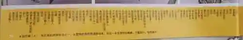 超银河传说(超银河决战免费观看国语)插图53