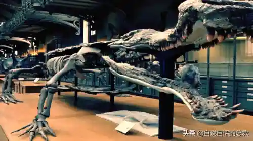 远古巨兽大复活(上古神兽饕餮电影免费)插图58 远古巨兽大复活(上古神兽饕餮电影免费)插图58