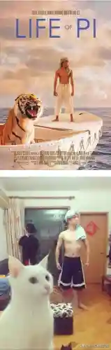 少年派的奇幻漂流(少年派隐喻深度解析)插图1