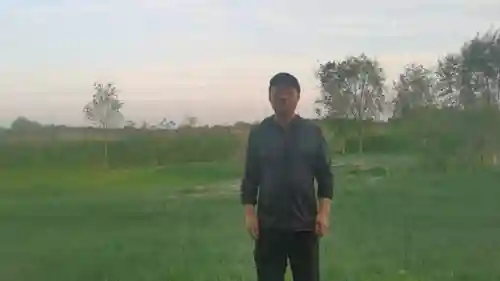 黑狗天幕搭配阵容推荐图(玛尔斯之殿阵容搭配推荐)