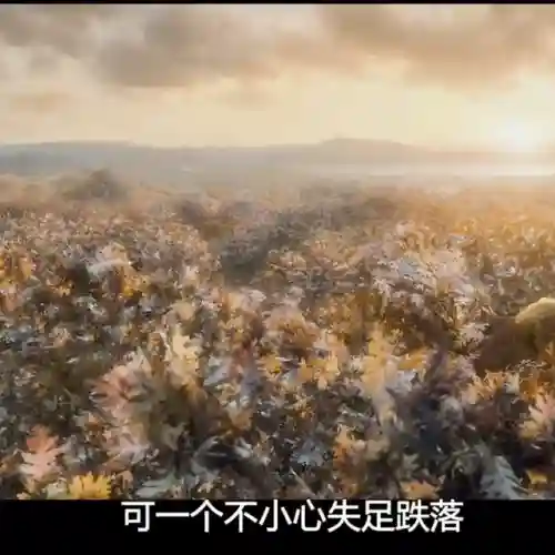 霍比特人2(霍比特人2在线观看免费国语)插图5