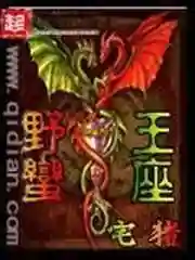 成神之路猫咪阵容搭配(次神光之觉醒宠物最强搭配)插图1
