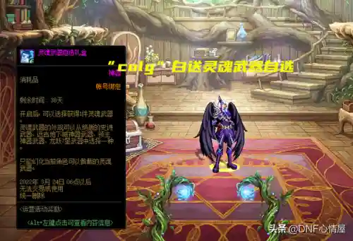 元素战士幻化搭配推荐阵容(圣骑士最美幻化)插图5