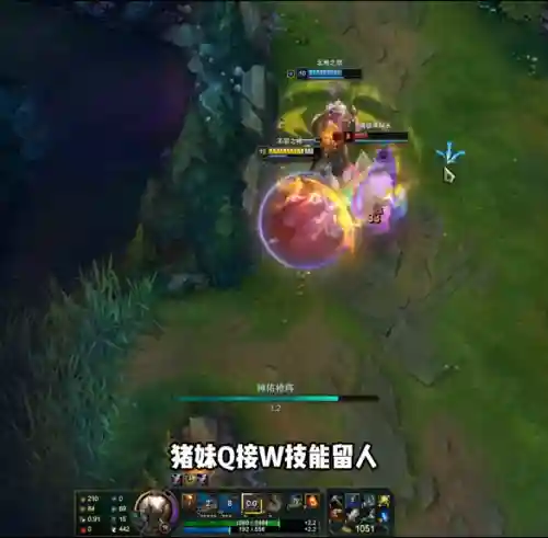 猪妹能搭配什么阵容(猪妹主什么副什么)插图3