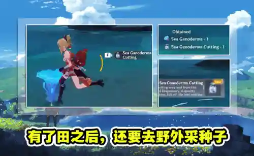 摩尔庄园法师阵容怎么搭配(摩尔庄园官方手游)插图2