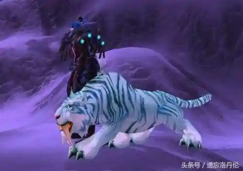 永久60服猎人宝宝排行(猎人最稀有的宝宝排行)插图9
