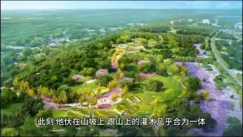 特战之王阵容搭配图(魔法无敌最强阵容)插图1