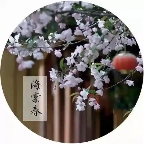 原神纳兰阵容搭配攻略(神法阵容)插图1
