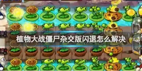 植物大战僵尸4阵容搭配(植物僵尸最强阵容)插图1