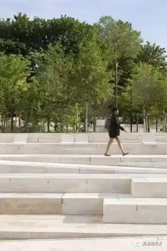 土丘五个打野阵容搭配(王者阵容搭配大全五黑)插图58 土丘五个打野阵容搭配(王者阵容搭配大全五黑)插图58