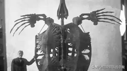 远古巨兽大复活(上古神兽饕餮电影免费)插图47 远古巨兽大复活(上古神兽饕餮电影免费)插图47