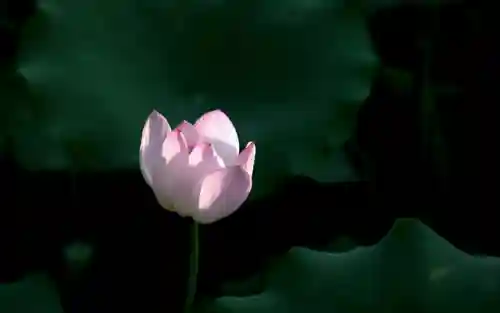任何成就都是(成绩与成就的区别)