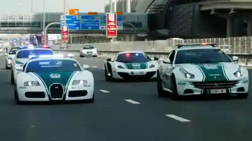沙特王室搭配什么阵容好(最新版本斗士配什么阵容)